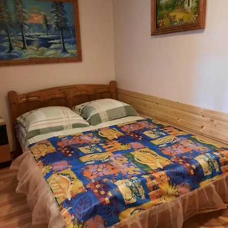 Pensiunea Cristiana 3* Curtea de Argeş