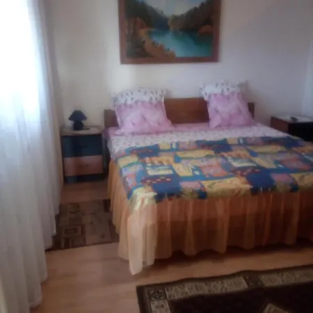 Pensiunea Cristiana 3* Curtea de Argeş