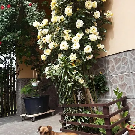 Pensiunea Cristiana Affittacamere 3*